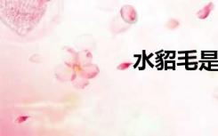 水貂毛是什么材质