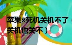 苹果x死机关机不了（iphonex死机了怎么办关机也关不）