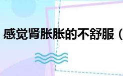 感觉肾胀胀的不舒服（肾感觉胀是什么原因）