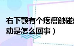 右下颚有个疙瘩触碰疼（右下颚有个疙瘩会滑动是怎么回事）