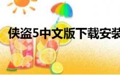 侠盗5中文版下载安装（侠盗5中文版下载）