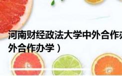 河南财经政法大学中外合作办学 金融（河南财经政法大学中外合作办学）