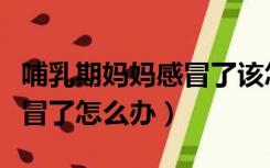 哺乳期妈妈感冒了该怎么办（哺乳期的妈妈感冒了怎么办）