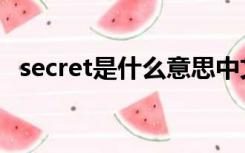 secret是什么意思中文（secret什么意思）