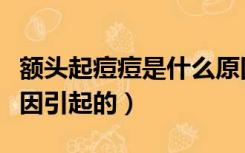 额头起痘痘是什么原因（额头长痘痘是什么原因引起的）