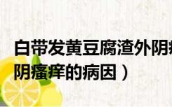 白带发黄豆腐渣外阴痒怎么办（白带豆腐渣外阴瘙痒的病因）