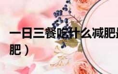 一日三餐吃什么减肥最好（一日三餐吃什么减肥）