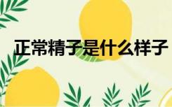 正常精子是什么样子（正常精子是什么样）