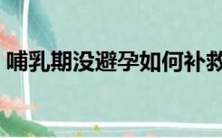 哺乳期没避孕如何补救（喂奶能吃避孕药吗）