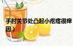 手肘关节处凸起小疙瘩很痒（手肘长疙瘩不痛不痒是什么原因）