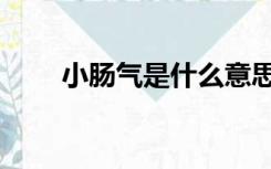 小肠气是什么意思（小肠气是什么）