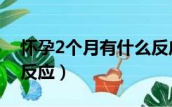 怀孕2个月有什么反应吗（怀孕2个月有什么反应）