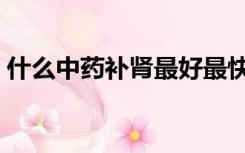 什么中药补肾最好最快（什么中药补肾最好）