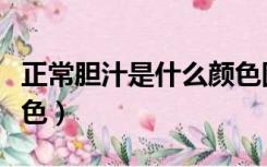 正常胆汁是什么颜色图片（正常胆汁是什么颜色）