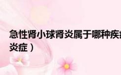 急性肾小球肾炎属于哪种疾病（急性肾小球肾炎是一种什么炎症）