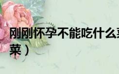 刚刚怀孕不能吃什么菜（刚怀孕不可以吃什么菜）