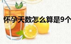 怀孕天数怎么算是9个月（怀孕天数怎么算）