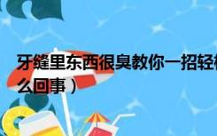 牙缝里东西很臭教你一招轻松解决（牙缝里的东西很臭是怎么回事）