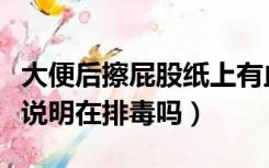 大便后擦屁股纸上有血是咋回事（大便是黑色说明在排毒吗）