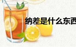 纳差是什么东西（纳差是什么）