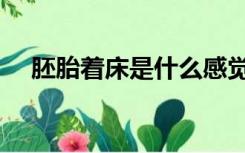 胚胎着床是什么感觉（着床是什么感觉）