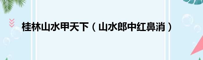 甲天下郎中山水桂林山水红鼻消