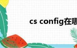 cs config在哪（cs config）