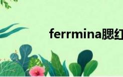 ferrmina腮红（ferrmina）