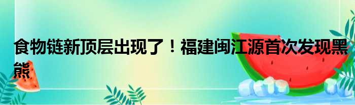 食物链新顶层出现了！福建闽江源首次发现黑熊