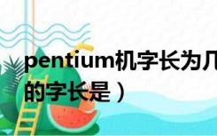 pentium机字长为几个字节（pentium微机的字长是）