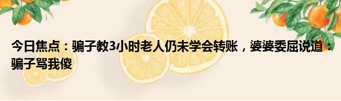 今日焦点：骗子教3小时老人仍未学会转账，婆婆委屈说道：骗子骂我傻