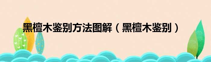 黑檀木鉴别方法图解（黑檀木鉴别）