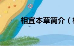 相宜本草简介（相宜本草价格表）