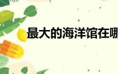 最大的海洋馆在哪里（最大的海洋）