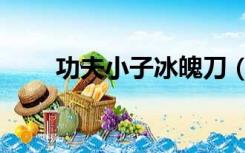 功夫小子冰魄刀（功夫小子冰魔剑）