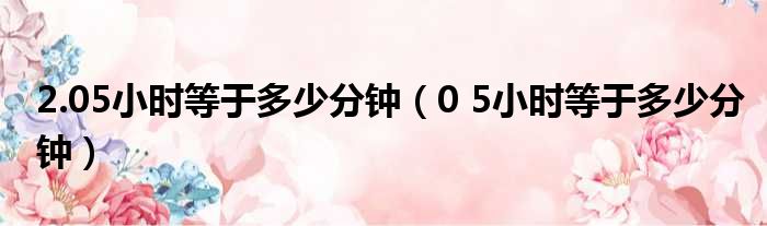 2.05小时等于多少分钟（0 5小时等于多少分钟）