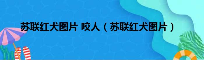 苏联红犬图片 咬人（苏联红犬图片）