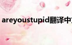 areyoustupid翻译中文（stupid 翻译中文）