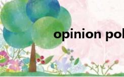 opinion poll（opinion）