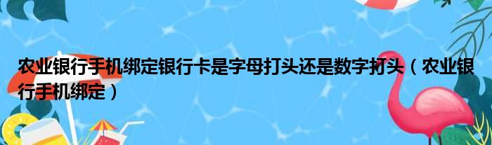 农业银行手机绑定银行卡是字母打头还是数字打头（农业银行手机绑定）