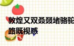 敦煌又双叒叕堵骆驼了 网友：走出了丝绸之路既视感