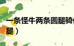 一条怪牛两条圆腿骑他肚上（一条怪牛两条圆腿）