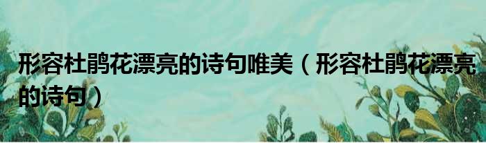 形容杜鹃花漂亮的诗句唯美（形容杜鹃花漂亮的诗句）