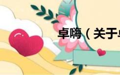 卓嗨（关于卓嗨的介绍）