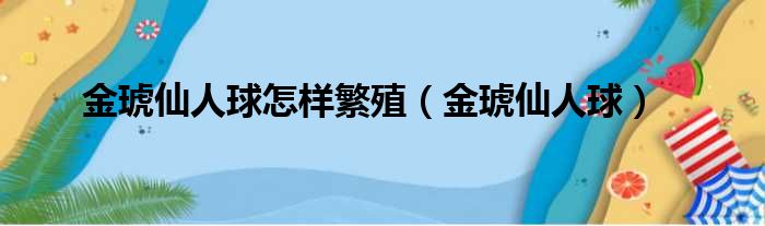 金琥仙人球怎样繁殖（金琥仙人球）