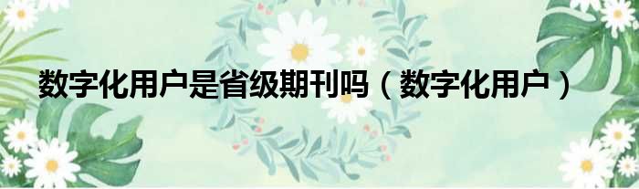 数字化用户是省级期刊吗（数字化用户）