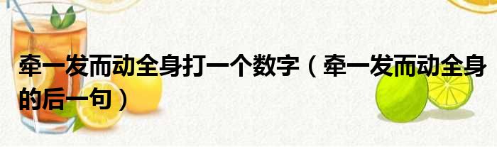 牵一发而动全身打一个数字（牵一发而动全身的后一句）