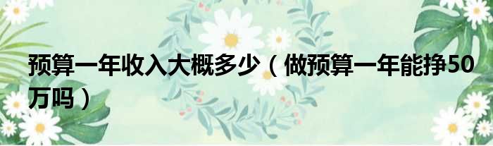 预算一年收入大概多少（做预算一年能挣50万吗）