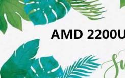 AMD 2200U（amd 220）