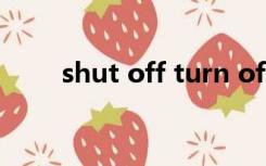 shut off turn off区别（shut off）